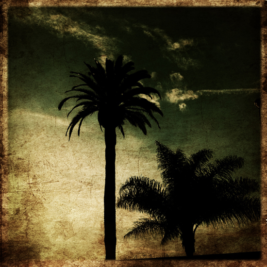 journal palmiers N°2