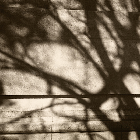 Shadow N°33, diary